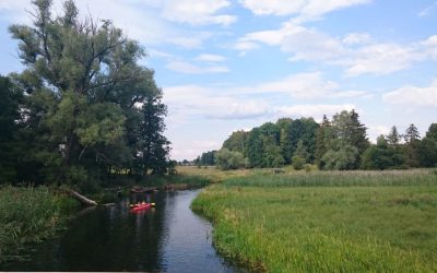 Gdzie w Polsce warto jechać na spływ kajakowy